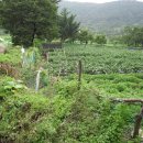 덕산면042 이미지