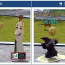 펫이좋아 이미지