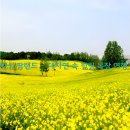 (주)안성목장 이미지