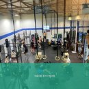 크로스핏 루스터 네이버블로그