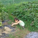 연오농장 이미지