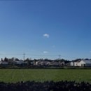 프로퍼밀도 이미지