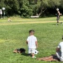 인앤아웃호텔 이미지