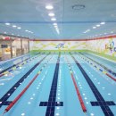 스위밍 키즈 이미지