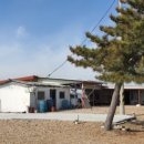 유리네민박 이미지