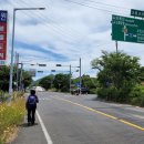 38대교 공원 이미지