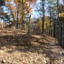 대성초삼거리 이미지