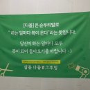 살롱다올,그루밍 이미지