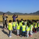 부강어린이집 이미지