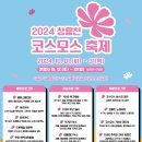 코스모스페이스