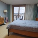 낙동놀자 이미지