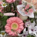 꽃집 | 대전관평동 감성 가득한 꽃집 방문 후기 / 플레르밋