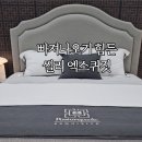 리빙더헤븐