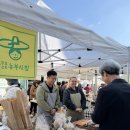 토진3리경로당 | 두물뭍농부시장 12월 크리스마스 마켓 🎄 특별 프로그램