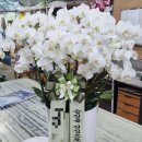 천호대로 213길 이미지