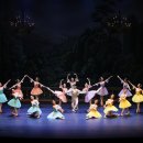 대구경북발레 페스티벌 이미지