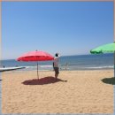 일곱번째 고양이 펜션 이미지