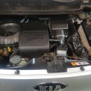 SHARK MOTOR OIL 이미지