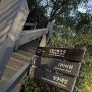 청운세탁소 | 인왕산 둘레길 종로 코스, 무악재 하늘다리에서 시작하는 숲길 산책