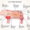 동성로생고기
