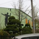 안산 와동체육관 Daum카페