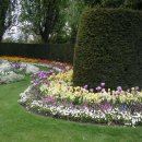 여왕의정원 이미지