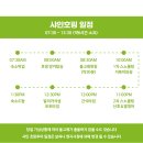 [보홀 호핑투어] 보홀션 샤인호핑 발리카삭 투어 | 보홀 바다거북, 돌고래, 스노클링, 선상파티 후기