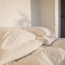 시적인순간 스테이 이미지