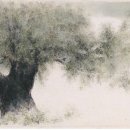 대담미술관 이미지