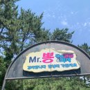 미스터크린원 이미지