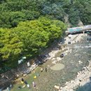 아마티커피 이미지