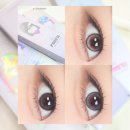 데일리 피쉬 | 폰피쉬 단독입점 레이렌즈 🩷 로뮤 원데이 러브글림/디어멜로우/그레이토프 후기