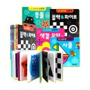 키즈그린 이미지