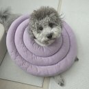 씨너리 | [키드너리] 강아지 혈뇨 영양제 1개월 후기 / 음수량이 많아져요 / 내돈내산!