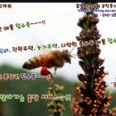 꿀벌아 고마워 공인중개사사무소 이미지