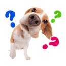 대화하이약국 | 밴쿠버 MSP로 피임약 무료 처방 &amp; 자궁초음파 받는 방법 ft. 자궁근종