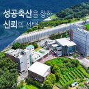 (주)대성약품