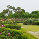 장자호수공원 이미지