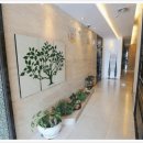 화이트이(e)치과의원 이미지