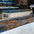 단촌정기장시장 | &#39;대게는 대게 맛있어&#39; 부산 기장맛집 [대게만찬] 후기