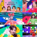 쪼꼬미네 이미지