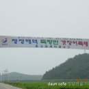 하모축제