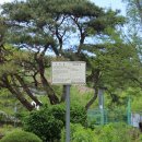 달천초교 매현분교 이미지