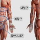 가온필라테스운정