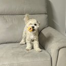 에바 가위컷 전문점 이미지