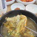 개성삼계탕 | 용인시청맛집 개성상황버섯삼계탕 몸보신 후기
