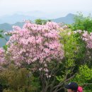 (주)한창 이미지