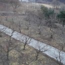 홍제원농장 이미지