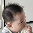 제로니모커피하우스 이미지