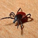 유명가축약품 이미지